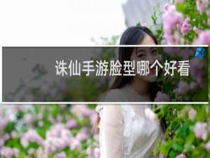 诛仙手游脸型哪个好看