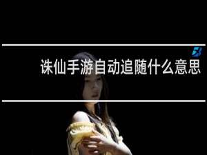 诛仙手游自动追随什么意思