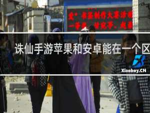 诛仙手游苹果和安卓能在一个区吗