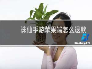 诛仙手游苹果端怎么退款