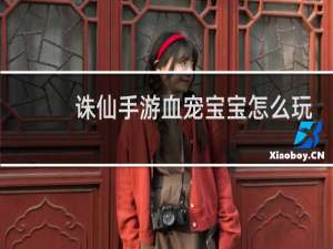 诛仙手游血宠宝宝怎么玩