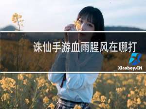 诛仙手游血雨腥风在哪打