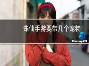诛仙手游要带几个宠物