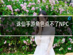 诛仙手游角色点不了NPC