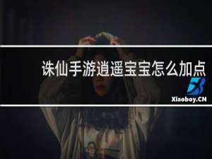 诛仙手游逍遥宝宝怎么加点