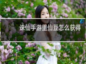 诛仙手游里仙豆怎么获得