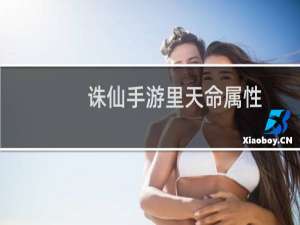 诛仙手游里天命属性
