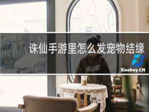 诛仙手游里怎么发宠物结缘