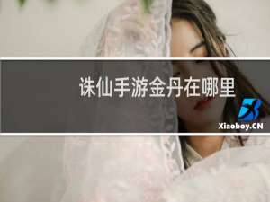 诛仙手游金丹在哪里