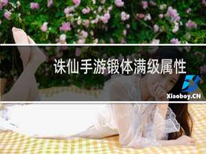 诛仙手游锻体满级属性