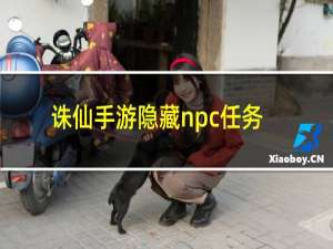 诛仙手游隐藏npc任务