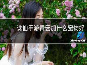 诛仙手游青云加什么宠物好