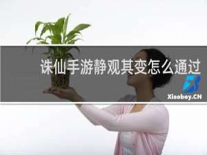诛仙手游静观其变怎么通过