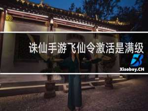 诛仙手游飞仙令激活是满级