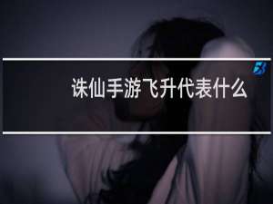 诛仙手游飞升代表什么