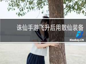 诛仙手游飞升后用散仙装备