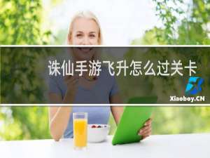 诛仙手游飞升怎么过关卡