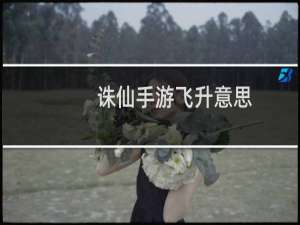 诛仙手游飞升意思