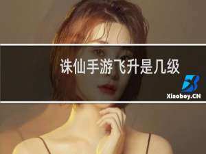 诛仙手游飞升是几级
