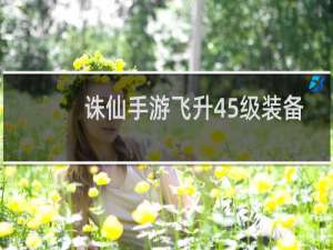 诛仙手游飞升45级装备
