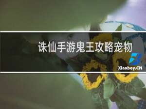 诛仙手游鬼王攻略宠物