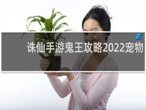 诛仙手游鬼王攻略2022宠物