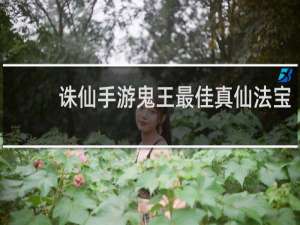 诛仙手游鬼王最佳真仙法宝