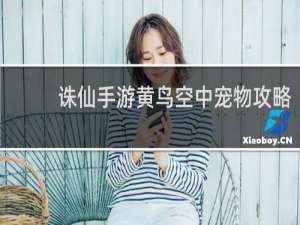 诛仙手游黄鸟空中宠物攻略