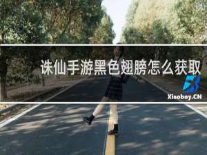 诛仙手游黑色翅膀怎么获取