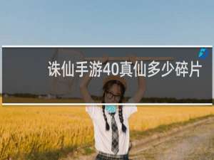 诛仙手游40真仙多少碎片