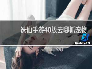 诛仙手游40级去哪抓宠物