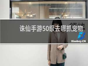 诛仙手游50级去哪抓宠物