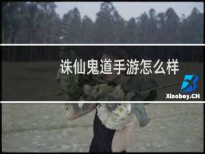 诛仙鬼道手游怎么样