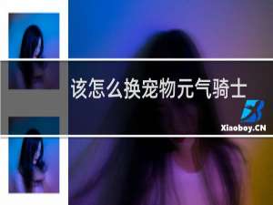 该怎么换宠物元气骑士