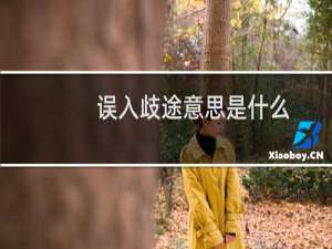 误入歧途意思是什么（误入歧途意思是什么）