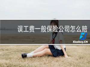 误工费一般保险公司怎么赔