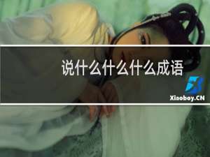 说什么什么什么成语