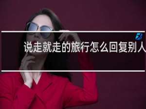说走就走的旅行怎么回复别人