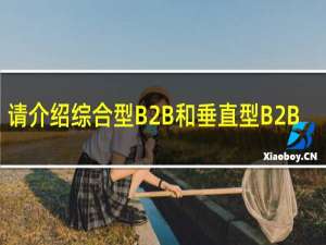 请介绍综合型B2B和垂直型B2B