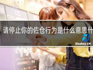 请停止你的佐仓行为是什么意思什么梗