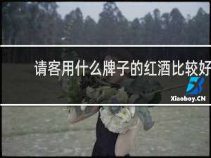 请客用什么牌子的红酒比较好