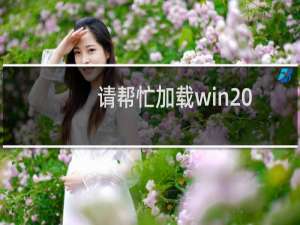 请帮忙加载win2022安装盘，我想自助安装系统