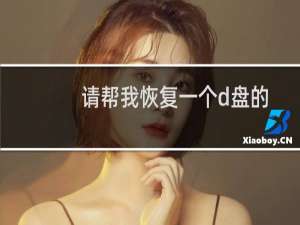 请帮我恢复一个d盘的数据今天早上备的