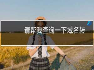 请帮我查询一下域名转出进度