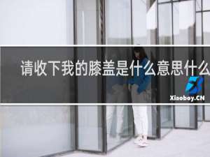 请收下我的膝盖是什么意思什么梗