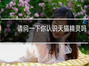 请问一下你认识天猫精灵吗