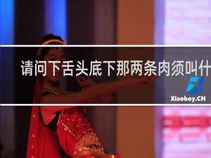 请问下舌头底下那两条肉须叫什么