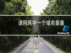 请问其中一个域名备案成功之后没有解析到国内的主机上，发邮件提