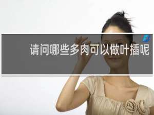 请问哪些多肉可以做叶插呢