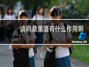 请问桑果酒有什么作用啊